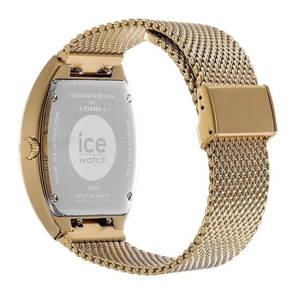 Montre Ice Watch - Kvinnor - 024488