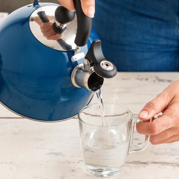 Vattenkokare Quid Blue Rostfritt stål (2 L)