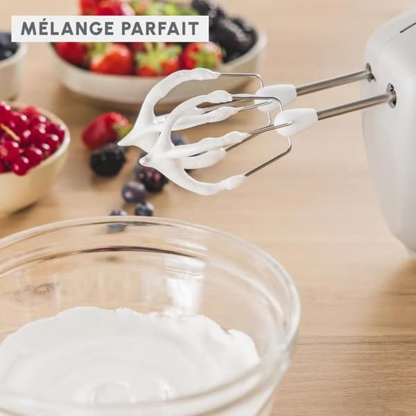 Moulinex Easy Max, Visp, Perfekt blandning, Peppar, HM262BF0