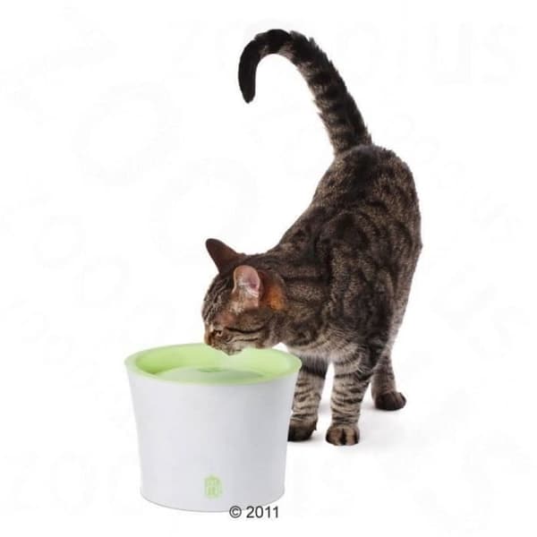CAT IT Cat vattenfontän 3L - Vit och grön