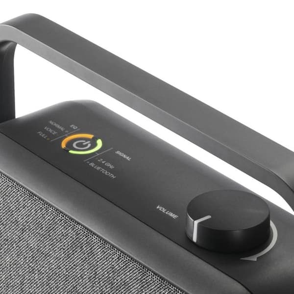 Högtalare för TV, station 2,4 GHz + Bluetooth®, bärbar, stereo