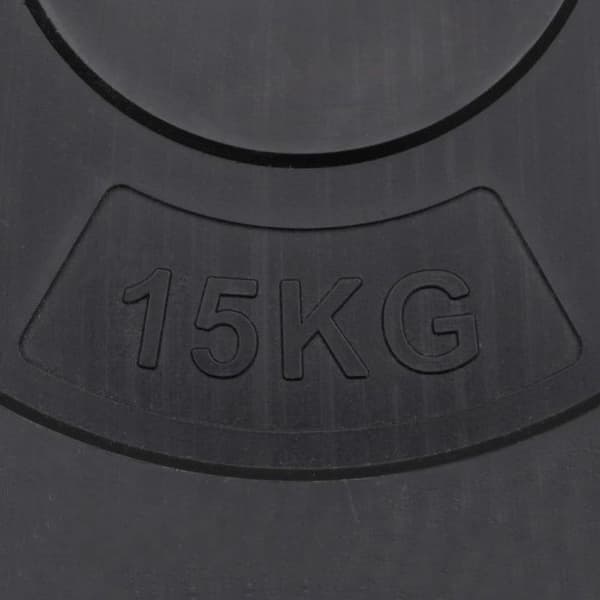 93598 vidaXL Viktskivor 2 st 30 kg Betong