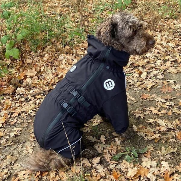 Hundmantel - MIKKI - Doodles - Vattentät - Silkesfoder som motverkar knutar - Andningsbart vindskydd