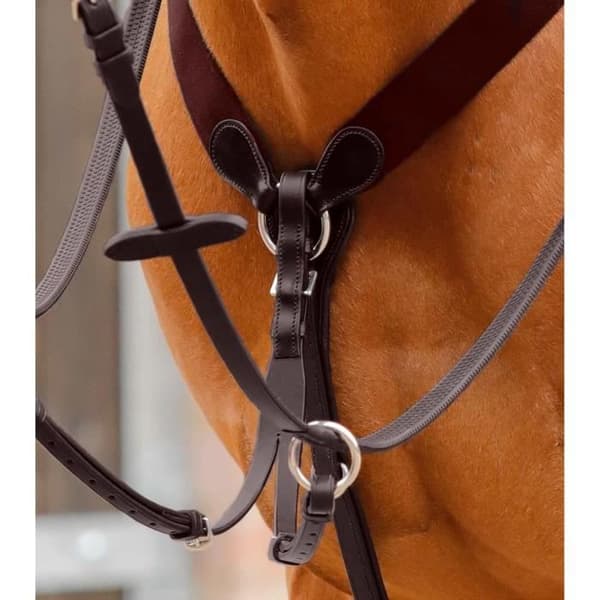 Martingale för hästar Premier Equine Baressa - mörkbrun - Full