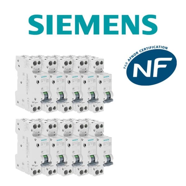 Batch av 10 elektriska brytare fas + neutral 10A