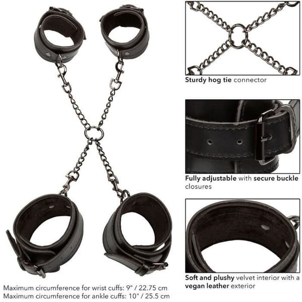 CALEXOTICS - CALEXOTICS - EUPHORIA SVINHALSBAND