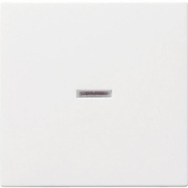 GIRA Cache Interrupteur med ljusindikator System 55, Standard 55, E2, Event, Transparent Event, Opaque Event, Esprit
