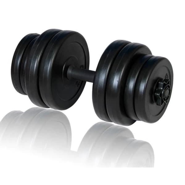 vidaXL 1 x Hantel 15 kg