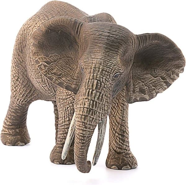 Figur figur - Schleich - Afrikansk Elefant Hona - Grå - 15 cm - Barn