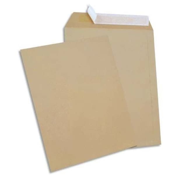 GPV - Box med 250 kraftpåsar 229x324mm