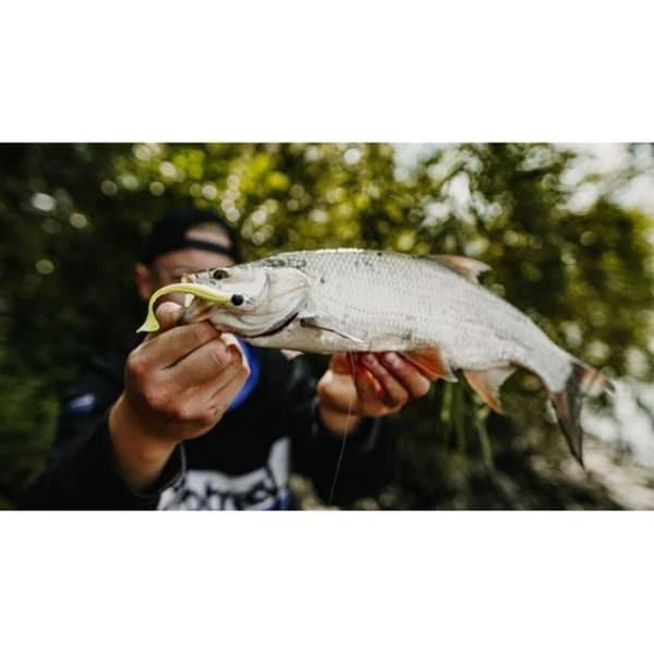 10-pack Quantum 4street B-Ass Shad - vit/röd - 5,60 cm
