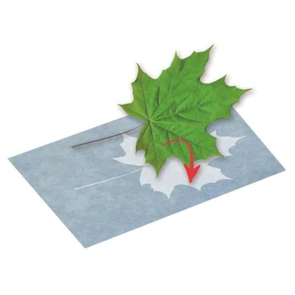 Solpapper - Moses - Junior - 17,8 x 12,9 cm - 10 st - Blå