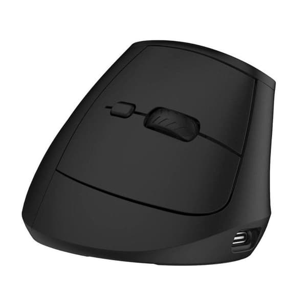 Ewent EW3208 ergonomisk trådlös/Bluetooth optisk mus svart
