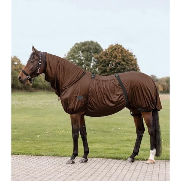 Insektskydd/ sommar för häst Waldhausen Basic - mocca - Brun - 145 cm