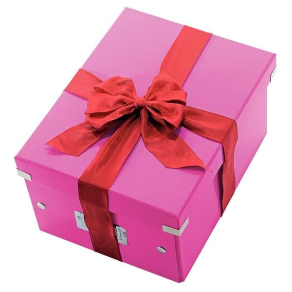 LEITZ Click & Store A4 förvaringsbox Rosa