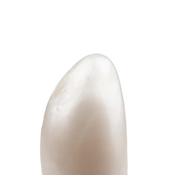 Seashell mini-vibrator