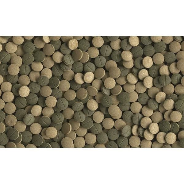 Tabletter för växtätande bottenfiskar - TETRA - Pleco XL - 133 Tab. - Premiumfoder - Spirulina 5%