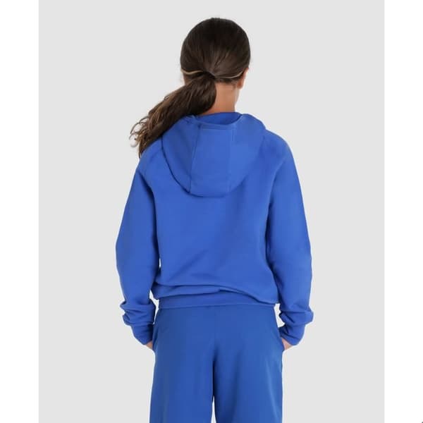 Barn hoodie Arena Team Panel - royal