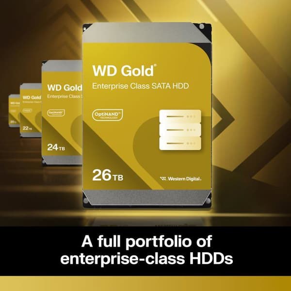 WESTERN DIGITAL HDD Gold 24TB