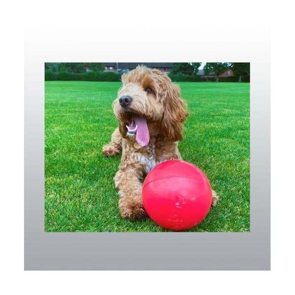Boomer Ball 25cm
