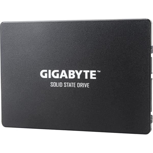 GIGABYTE - Intern Solid State Drive - 256 GB - 2,5" (GP-GSTFS31256GTND)