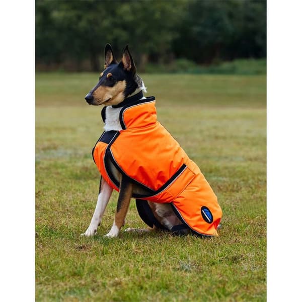 Hundmantel Weatherbeeta Comfitec Reflective Deluxe 300D - Orange - 50 cm