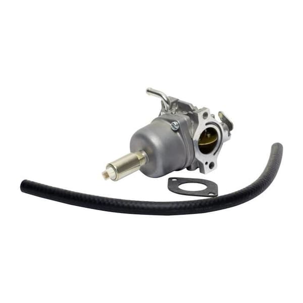 Förgasare BRIGGS OCH STRATTON 591731 - 796109