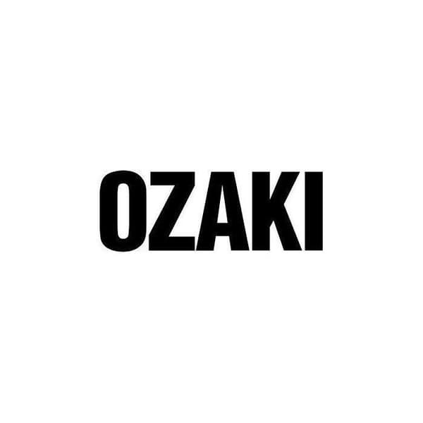OZAKI Pro Square motorsågskedja