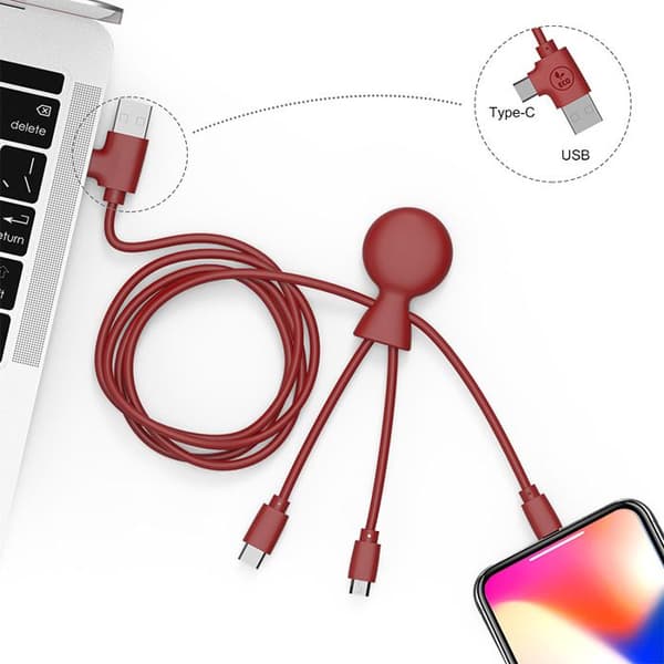 Kabel 1 m dubbel ingång Typ C/USB Xoopar Mr Bio Long