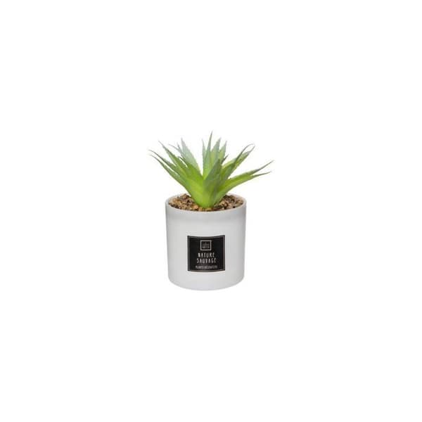 Kaktusdoftlåda - H 19,2 cm - Glas