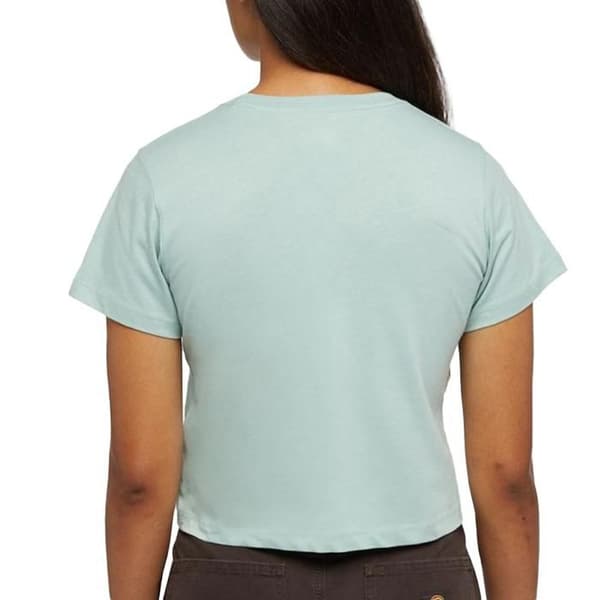 T-shirt Grön Dam Dickies Aitkin