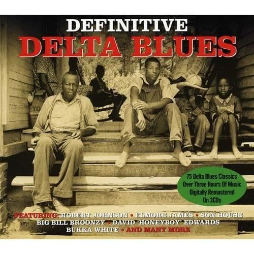 Definitiv Delta Blues - Definitiv Delta Blues