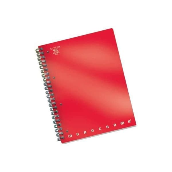 Pigna Monocromo Notepad metallringpärm A4 100 ark små rutor 4 hål