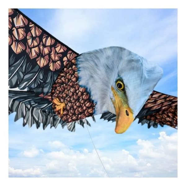 3D-drake - Örn - Realistisk design - Polyester - 160 cm x 85 cm