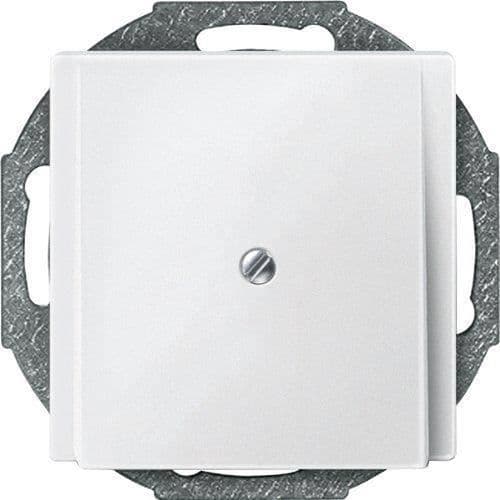 Merten 295619 centralplatta ledningsutlopp, polarvit, system M - 1325207