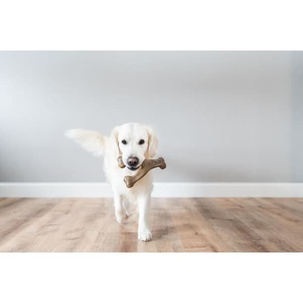 Wishbone Storlek L smak Bacon