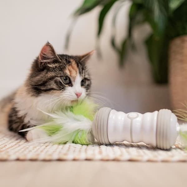 Kattens leksak dubbel spinner Ebi