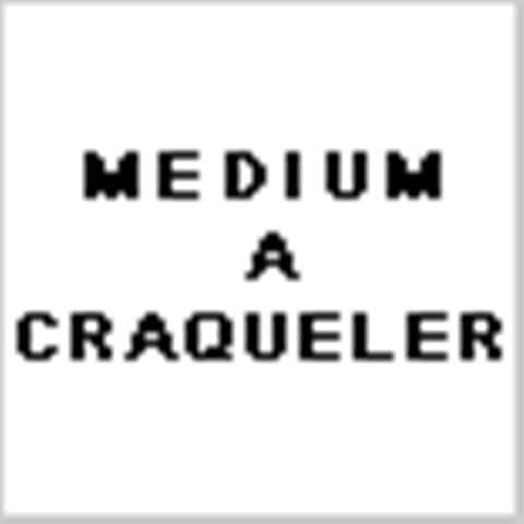 Akryl - Crackle medium 198 / 598 Kruka med...