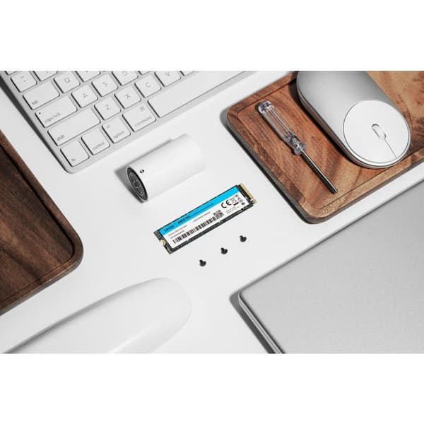 LEXAR - NM610PRO - SSD-hårddisk - 500 Go - M.2 2280 PCIe Gen 3x4