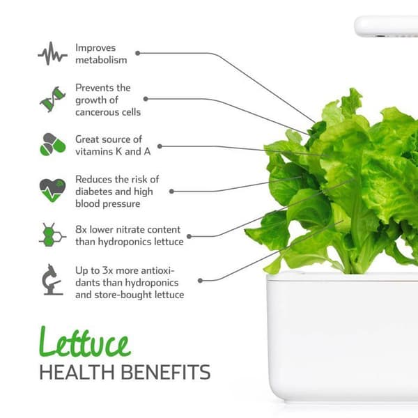 Frösalladssallad Smart Garden Click & Grow 3 plantor