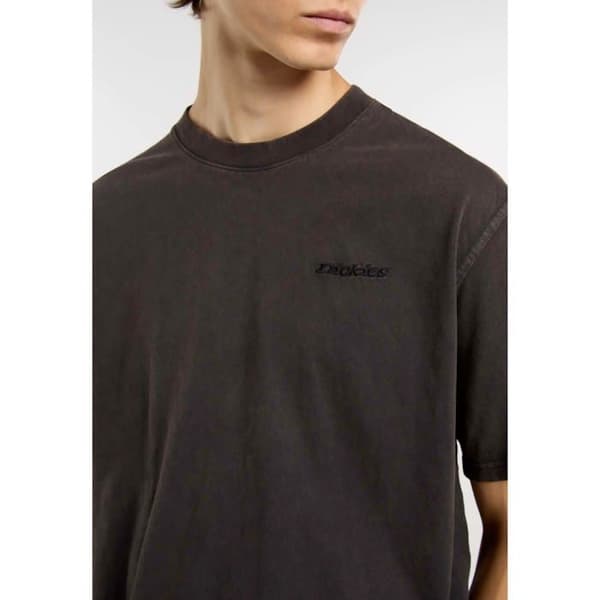 T-Shirt Dickies Plentywood Ss