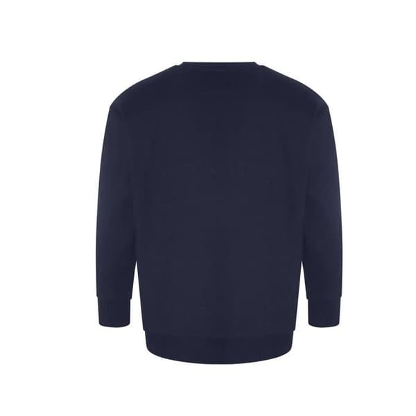 Sweatshirt Ekologi Krater Återvunnen