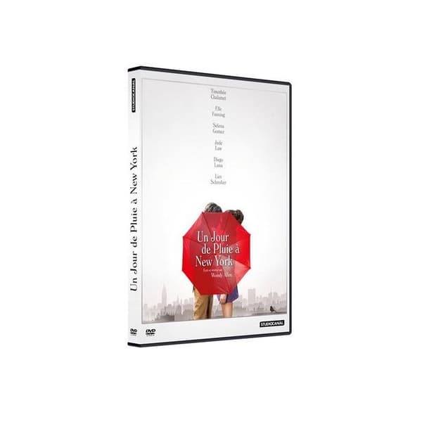 En regnig dag i New York DVD