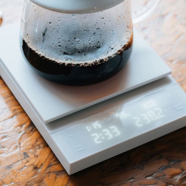 Hario Polaris kaffevåg – vit
