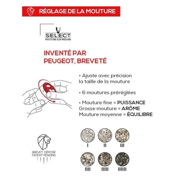 MAESTRO GRAPHITE PEPPARKVARN 10 CM - PEUGEOT SAVEURS