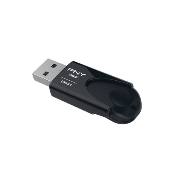 ATTACH 4 3.1 256GB FD256ATT431KK-EF