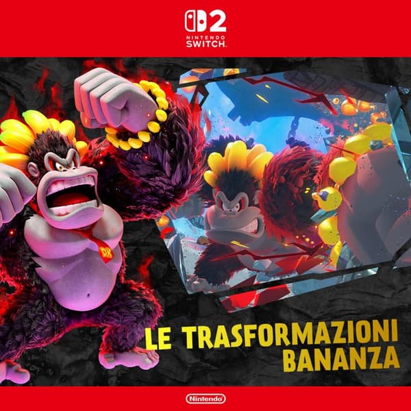 Nintendo videospil NIN10016222 Multifarvet