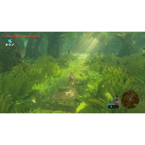 Nintendo-pelit NIN10016293 Monivärinen