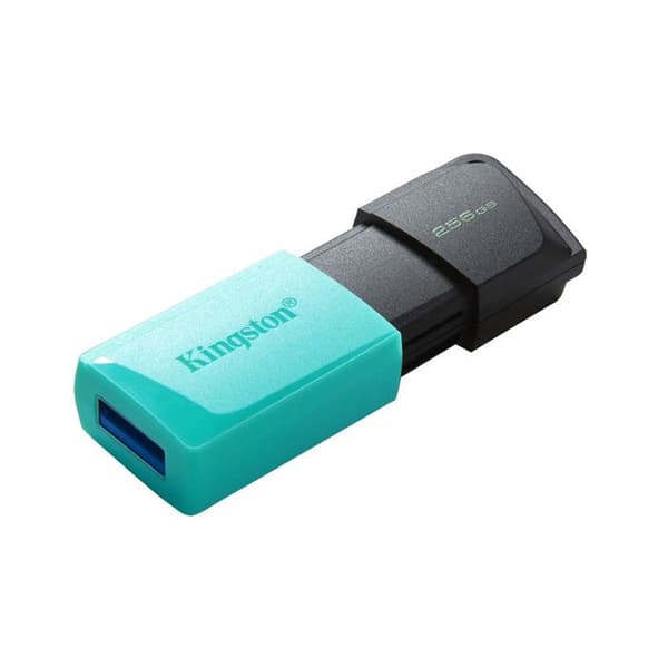 USB-hukommelse - KINGSTON - Dtexodia M Bk - 256 GB - USB 3.2 - Sort