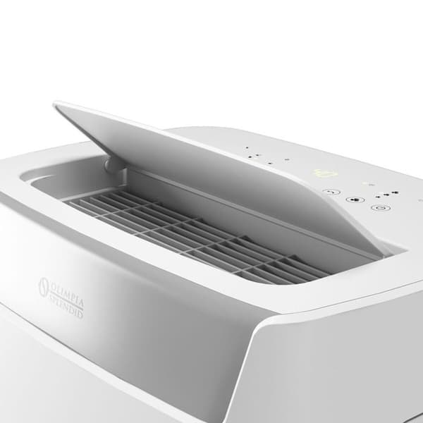 'Dehumidifier Olimpia Splendid 02064 White'